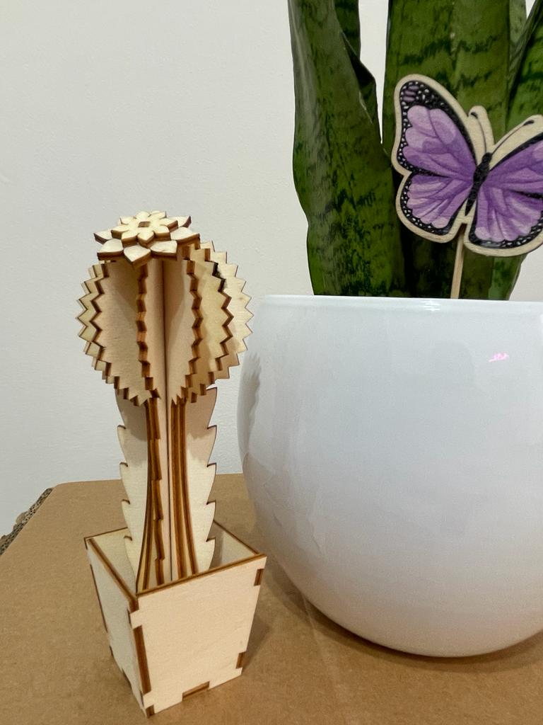 Cactus in Legno - Packart