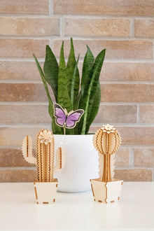 Cactus in Legno - Packart