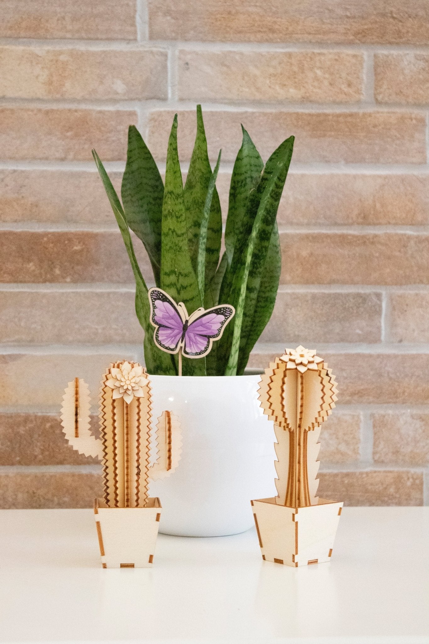 Cactus in Legno - Packart